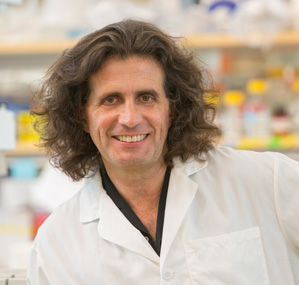 Michele Carbone, MD, PhD