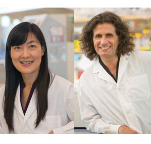 Haining Yang, MD, PhD and Michele Carbone, MD, PhD